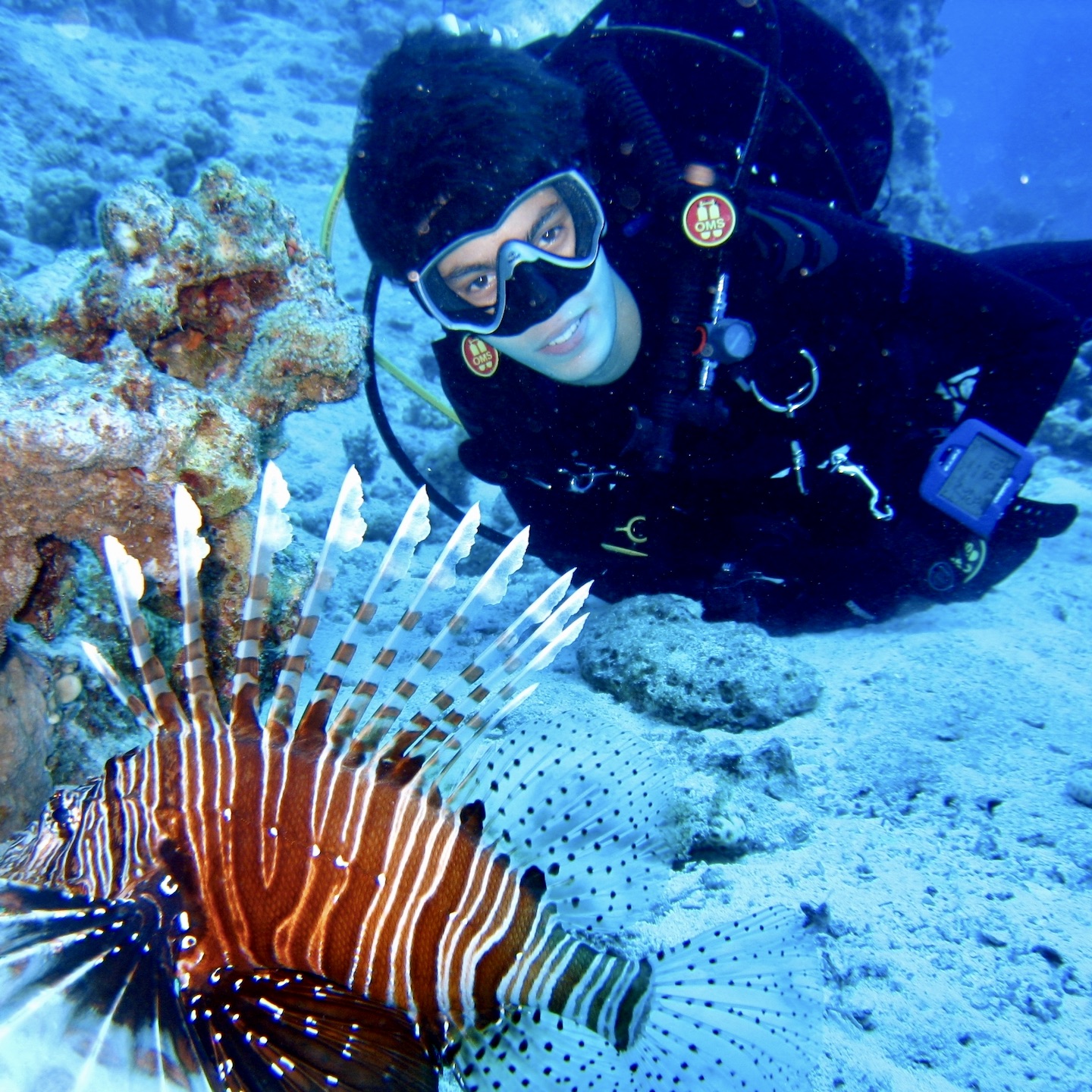 Подробнее о статье От бассейна до океана: мои 18 лет в дайвинге