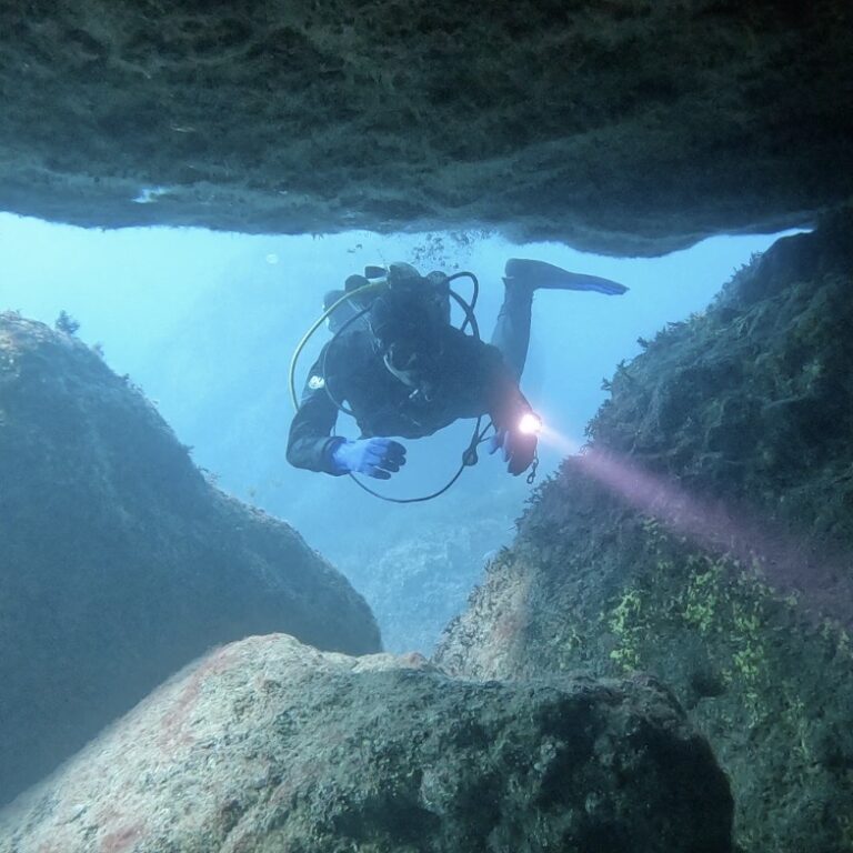 Подробнее о статье Новогоднее путешествие в Крым к Волшебникам