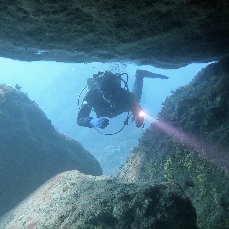 Подробнее о статье Новогоднее путешествие в Крым к Волшебникам